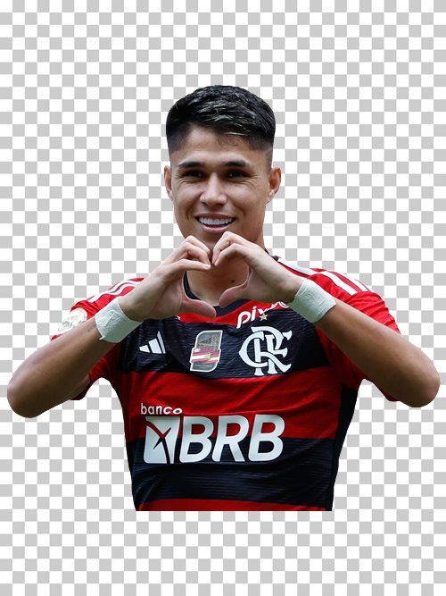 Luiz Araujo Flamengo