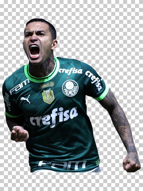 Dudu Palmeiras