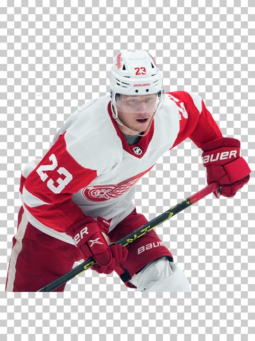 Lucas Raymond Detroit Red Wings