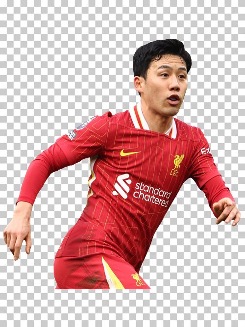 Wataru Endo Liverpool