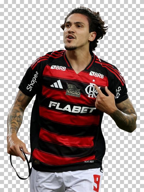 Pedro Flamengo