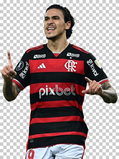 Pedro Flamengo