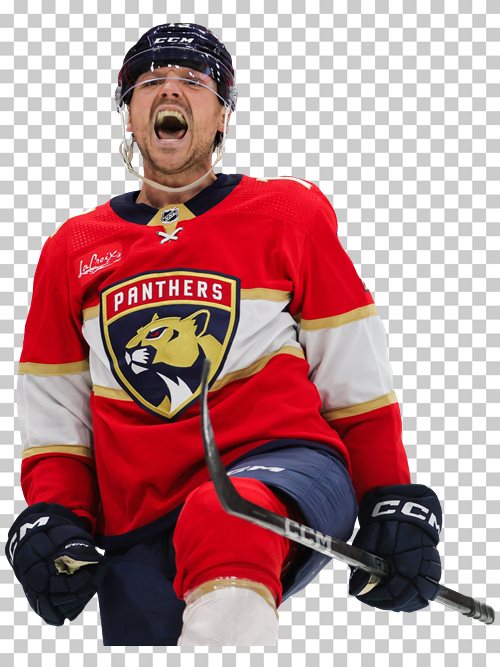 Sam Reinhart Florida Panthers