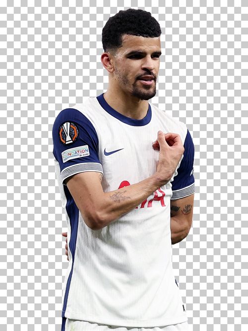 Dominic Solanke Tottenham Hotspur
