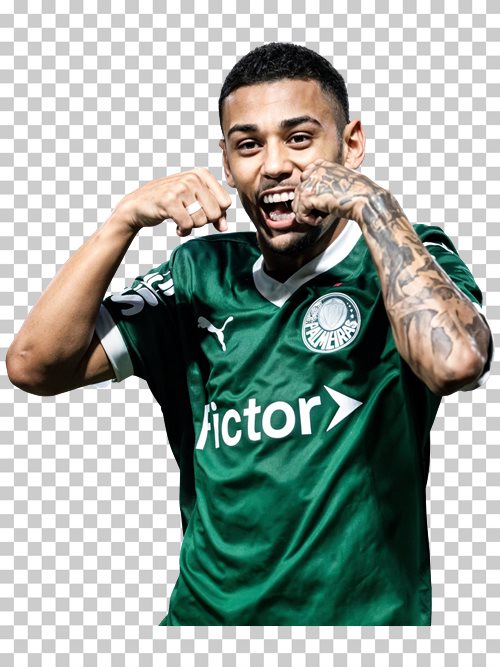 Riquelme Fillipi Palmeiras