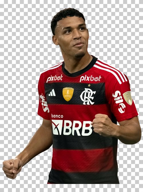 Download Victor Hugo transparent png render free. Flamengo png renders ...