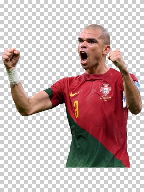 Pepe Portugal national football team