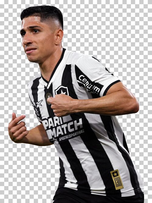 Jefferson Savarino Botafogo