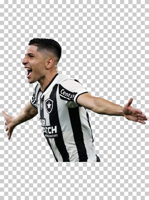 Jefferson Savarino Botafogo