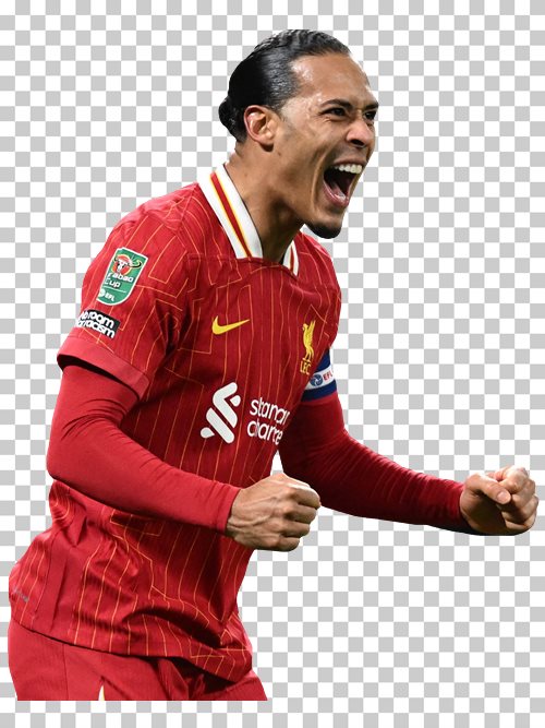 Virgil van Dijk Liverpool