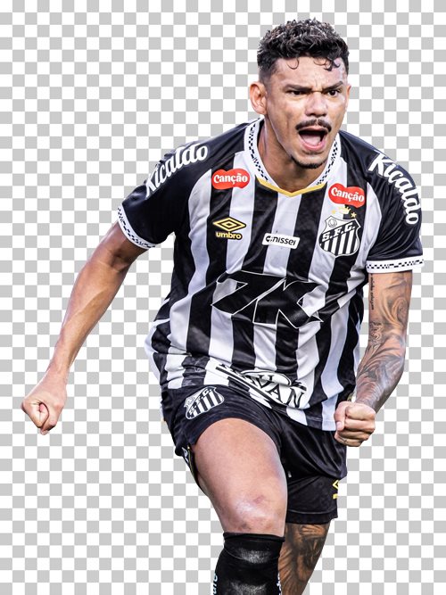 Tiquinho Soares Santos
