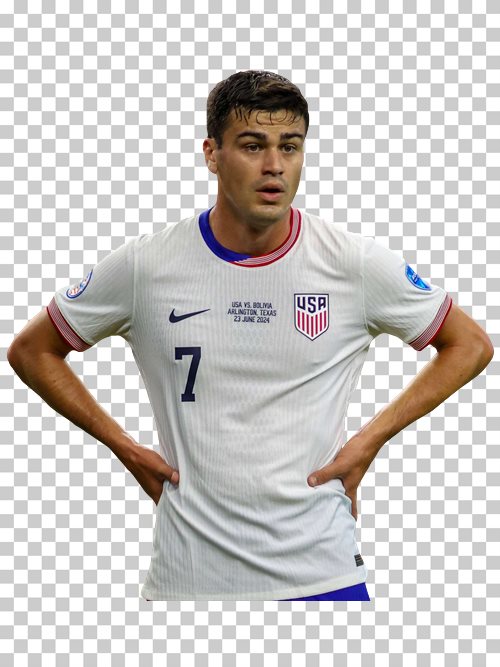 Giovanni Reyna United States national soccer team