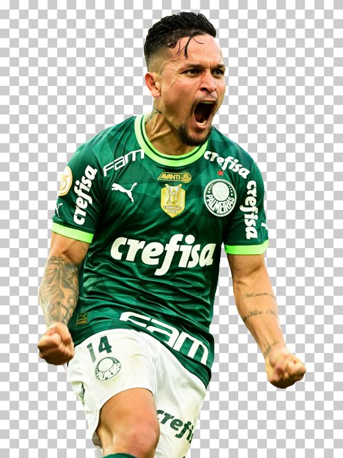 Artur Palmeiras