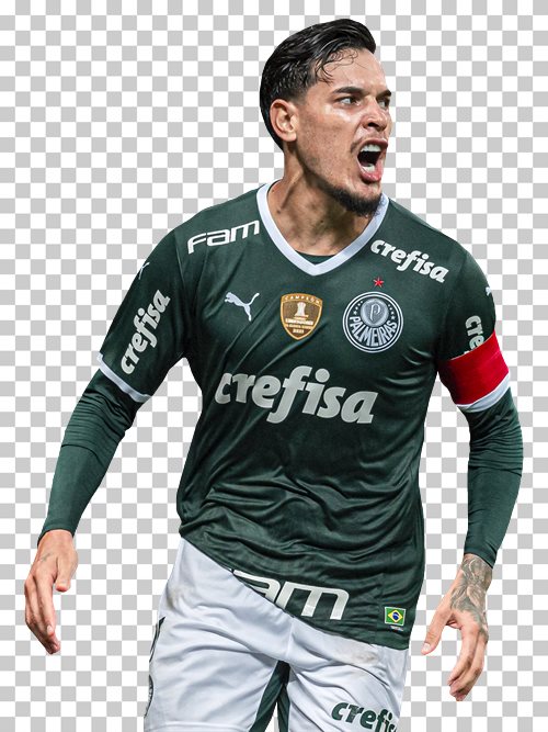 Gustavo Gomez Palmeiras