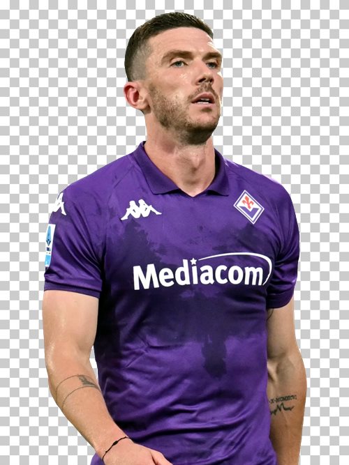 Robin Gosens Fiorentina