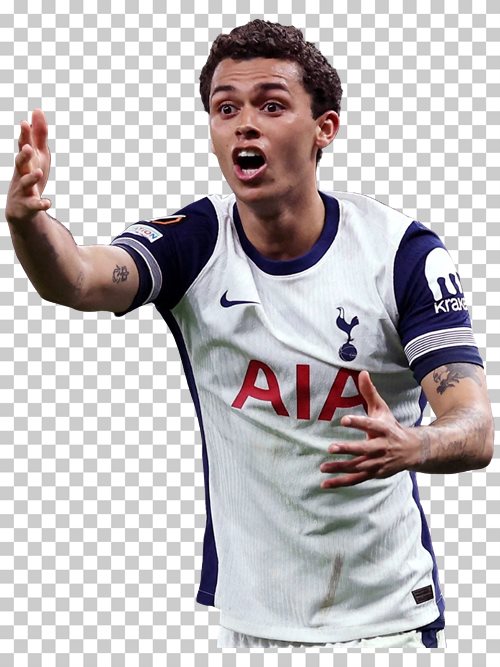 Brennan Johnson Tottenham Hotspur
