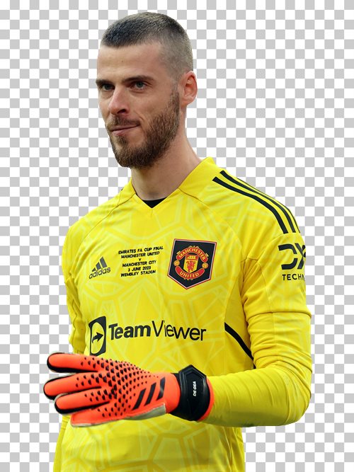 David de Gea Manchester United