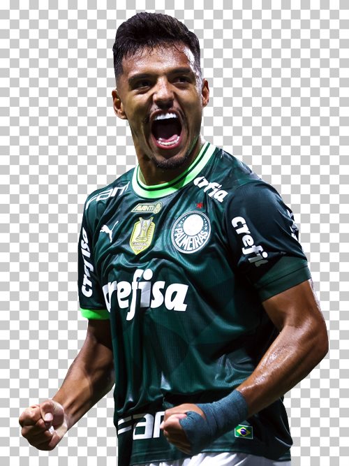 Gabriel Menino Palmeiras