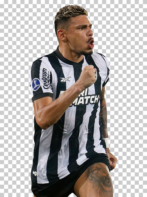 Tiquinho Soares Botafogo